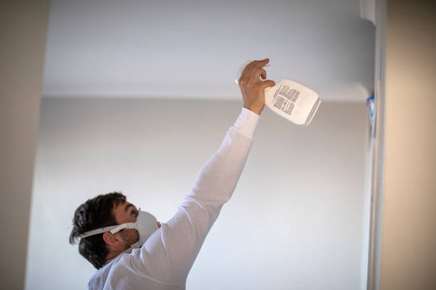 Best Professional Mold Removal  in Azle, TX