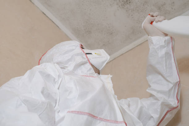 Best Commercial Mold Removal  in Azle, TX