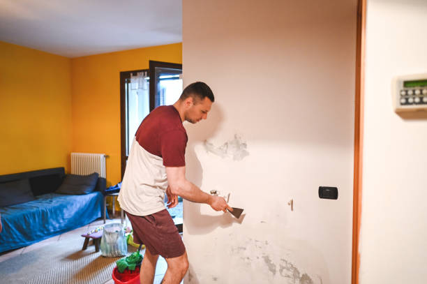 Best Residential Mold Removal  in Azle, TX