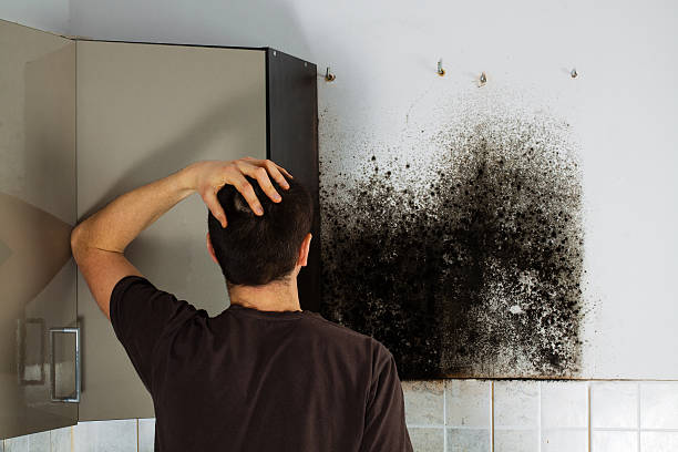 Best Emergency Mold Removal  in Azle, TX